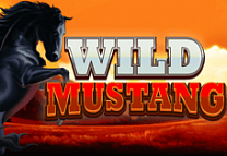 Wild Mustang